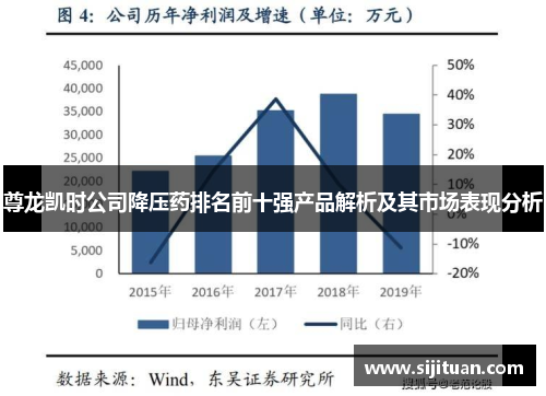 尊龙凯时公司降压药排名前十强产品解析及其市场表现分析