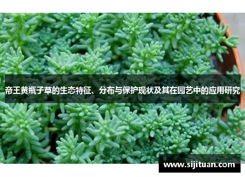 帝王黄瓶子草的生态特征、分布与保护现状及其在园艺中的应用研究 帝王黄瓶子草的生态特征、分布与保护现状及其在园艺中的应用研究