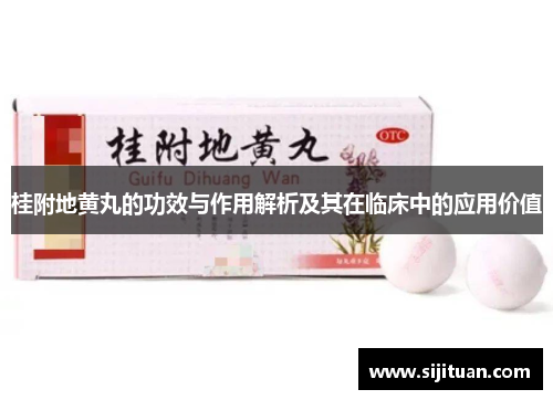 桂附地黄丸的功效与作用解析及其在临床中的应用价值