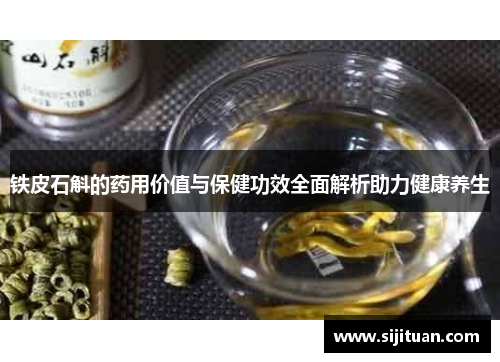 铁皮石斛的药用价值与保健功效全面解析助力健康养生 铁皮石斛的药用价值与保健功效全面解析助力健康养生