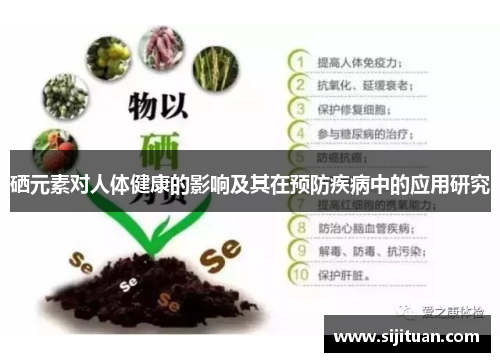 硒元素对人体健康的影响及其在预防疾病中的应用研究 硒元素对人体健康的影响及其在预防疾病中的应用研究