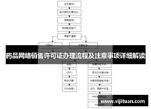 药品网络销售许可证办理流程及注意事项详细解读 药品网络销售许可证办理流程及注意事项详细解读