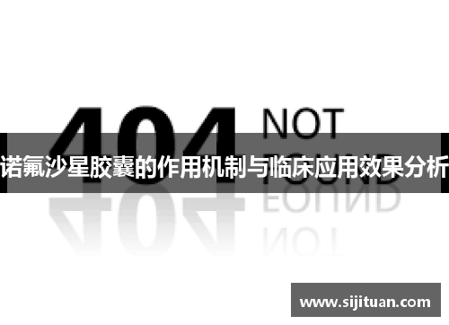 诺氟沙星胶囊的作用机制与临床应用效果分析